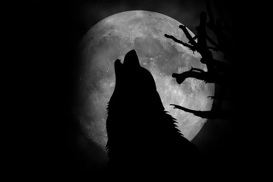 The Wolf Moon | Hart & Horn